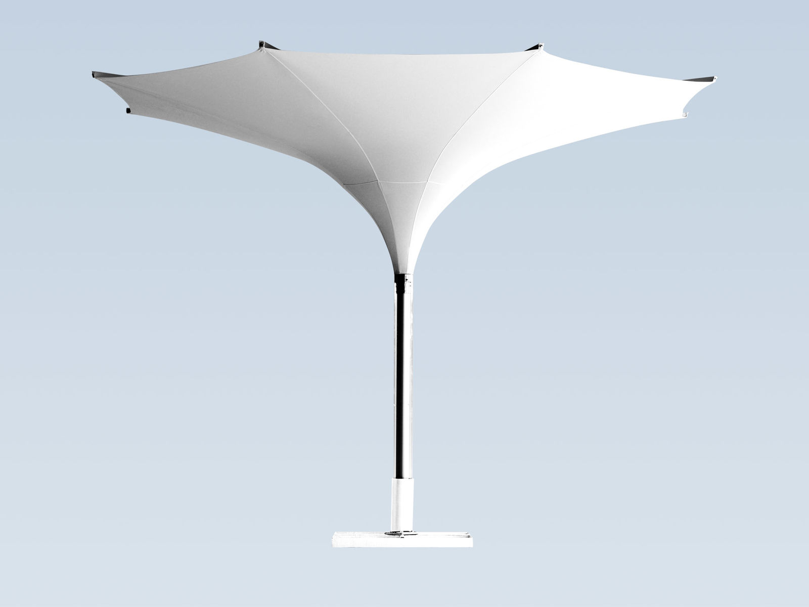 Тюльпан зонтик тип E - Тюльпан Зонтик  от Bau Hoff